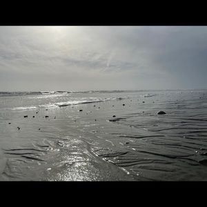 Meet your Posher, Mara